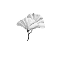 Ginkgo Leaf Drawer Knobs Modern Cabinet Pull Handle for Wardrobe Cupboard Drawer Bookcase Furniture (Large，Silver)