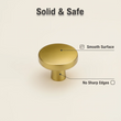 10 Pack Brushed Brass Cabinet Knobs，Solid Single Hole Zinc alloy Round Cabinet Knobs for Kitchen Drawers and Cabinets