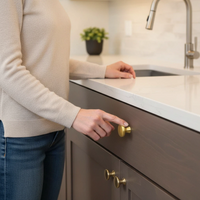 10 Pack Brushed Brass Cabinet Knobs，Solid Single Hole Zinc alloy Round Cabinet Knobs for Kitchen Drawers and Cabinets