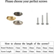 Brushed Brass Cabinet Hardware Bin Cup Drawer Handle Pulls - 3" Inch (76mm) Hole Centers