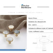 Brushed Brass Dresser Knobs，Zinc Alloy Drawer Knobs，Gold Drawer Knobs Pulls Suitable for Kitchen Cabinets Cupboard (Yellow Pearl)